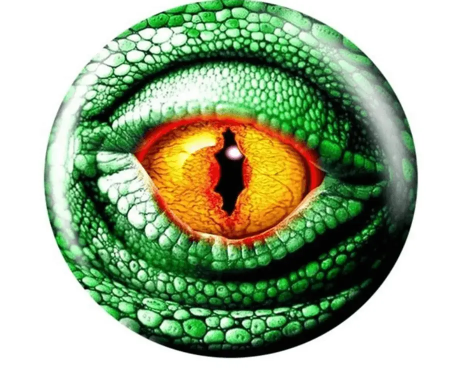 <a href="https://www.bowlingview.com/wp-admin/post.php?post=234&action=edit#5--brunswick-lizard-eye-glow-viz-a-ball-">Brunswick Lizard Eye Glow Viz-a-Ball</a>